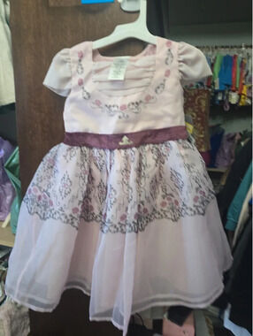 Xs brand new princess aurora dress from the disney store. Item 1167